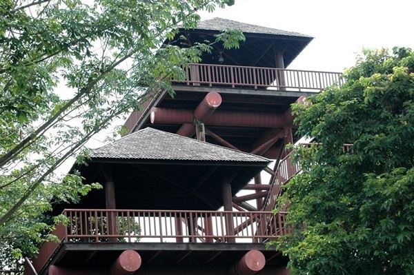 و من الجدير بالذكر أيضا أن هذا المكان الرائع يحتوي على الكثير من المعلومات و البيانات الهامة و التي قد يمكن الاستفادة منها أثناء زيارتك إلى هذا لمكان الشيق , و من أهم المعلومات المميزة و الشيقة و التي سوف تتعلمها و تعرفها أثناء رحلتك السياحية في هذه الحديقة هي كيفية الحفاظ على الأراضي الرطبة و كما أنه يبرز أيضا أهمية الأراضي الرطبة في الحفاظ على النظام البيئي المميز في ولاية بوتراجايا و في تربة الدولة الماليزية بأكملها , و من الجدير بالذكر أيضا أنه لكي تصل إلى هذا المكان المميز حديقة الأرض الرطبة حيث إذا كنت في مدينة الحدائق ولاية كوالا لمبور العاصمة الماليزية السياحية المميزة فمن الممكن الذهاب إلى هذه الحديقة عن طريق استقلال سيارتك الخاصة أو سيارة أجرة و القيادة نحو مسافة قد تصل إلى خمسة و عشرون كيلو متر مربع و مسافة أخرى قد تصل إلى حوالي واحد و عشرون كيلو متر مربع أيضا و ذلك في جهة الشمال نحو مطار كوالا لمبور الدولي , و من هذه المنطقة فإنه من الممكن سلوك الطرق السريعة و الطرق المتحضرة و التي قد تم تنظيمها و تصليحها قريبا لتكون أسهل لكل المسافرين على هذه الخطوط و التي تتجه إلى ولاية بوتراجايا و من قد تصل إلى حديقة الأرض الرطبة عن طريق أتباع اللافتات الإرشادية , كما أنه من الجدير بالذكر أيضا أنه من الممكن استقالا قطار السكة الحديد للوصول إلى ولاية بوتراجايا و منها يمكنك الوصول إلى هذه الحديقة الرائعة حديقة الأرض الرطبة .