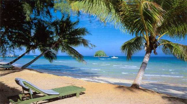 شاطئ ديسارو هو واحد من بين أفضل الشواطئ في ولاية جوهور. ويرى الكثير من الزوار العائدين من هذه المنطقة أن هذه البقعة بشواطئها الرملية البيضاء منطقة تستحق المشاهدة وفرصة لا يجب أن تفوت محبي الطبيعة. ويعرف هذا الشاطئ بنظافته ويشتهر كذلك بامتداده لمسافة 25 كيلو مترًا. وتحد هذا الشاطئ أشجار الكازوارينا، وبين جنبات هذا الشاطئ يمكن للزوار الاستمتاع بالأنشطة المفعمة بالمتعة كالصيد وركوب الزوارق والسباحة والتنزه سيرًا وغير ذلك من الأنشطة التي يمكن ممارستها في الهواء الطلق.