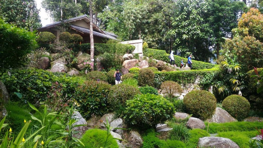 وهي عبارة عن قطعة صغيرة من اليابان في ماليزيا، إذ أنها من معالم السياحة في باهانج التي تم تصميمها من قبل مهندس معماري ياباني مع فريق من العمال المهرة من اليابان، وتقع بها حديقة داخل غابة استوائية مطيرة تُعد هي الأخرى من الاماكن السياحية في باهانج التي تلقى إقبالً من الزوار، وتتميز بالعديد من مناطق الجذب اليابانية الكلاسيكية، بما في ذلك بيت الشاي وحصير التاتامي، فضلاً عن أنه يمكنك استئجار الكيمونو والتقاط بعض الصور بزي ياباني تقليدي، أو الانضمام إلى حفل شاي لتعلم القليل عن الثقافة اليابانية.