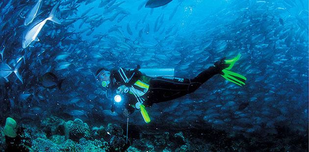 و يمكن التجول و السير في جميع أنحاء الجزيرة الواحدة في يوم واحد حيث أنها ليست كبيرة ضخمة و لكنها مليئة بالطبيعة الساحرة كما أنه يمكن أيضا في فترة انخفاض المد أن تسير على الأقدام حتى تصل إلى الجزيرة الأخرى , و من المعروف أيضا أن هذه الجزر تشتهر بأنه في جميع شواطئها مليئة بالشعاب المرجانية و التي تعتبر من أهم المميزات الرائعة  التي تجعل الكثير من السائحين يتوافدون عليها لممارسة رياضة الغوص و مشاهدة أجمل الشعاب المرجانية الخلابة كما انها تحتوي أيضا على حوالي أكثر من ثلاثون موقع للغوص و يعتبر الفترة ما بين شهر ابريل و حتى شهر يونيو هي الفطرة الأنسب للنزول في أعماق بحار الجزيرة .