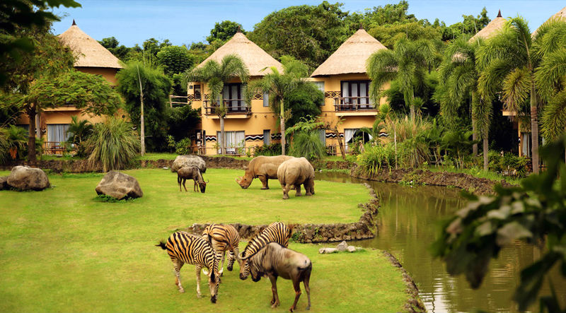 من أفضل الأماكن في بالي وأكثرها مثالية للنزهات العائلية بصُحبة الأطفال، حيث يُمكنهم مُشاهدة الحيوانات الوافدة من بقاع العالم الاستوائية المُختلفة تتصرف كما لو كانت في بيئتها الطبيعية أثناء ركوب السيارة أو الحافلة التي توفرها الحديقة أو الجهة المُنظّمة لجولة السفاري، ركوب الأفيال، مُشاهدة عرض مسرحي جذاب تقوده الحيوانات على نحو شبيه بعروض السيرك العالمي.  وذلك من خلال برامج زيارة ومجموعة مُتنوعة لك حرية اختيار ما شئت منها حسب ميولك وميول أطفالك، إن حديقة بالي سفاري من وجهات السياحة في بالي الأكثر شعبية وزيارة فلا تفوّتها على نفسك عند السفر إلى بالي.