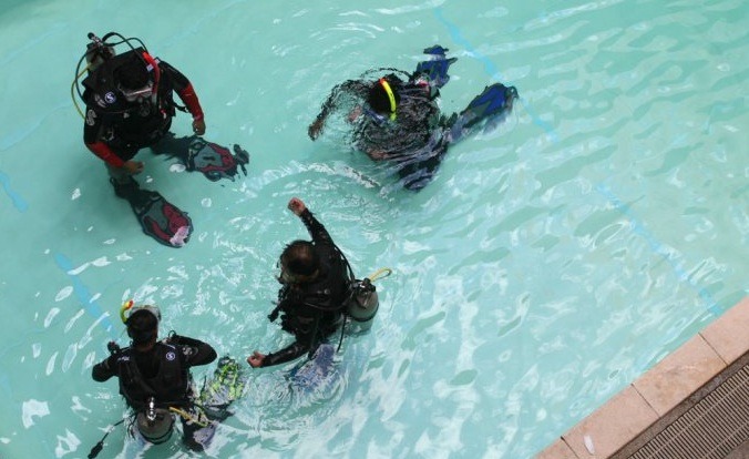 أكاديمية الغوص هي واحدة من أول مجمعات الغوص المخصصة في ماليزيا ، Sealantis تم افتتاحها منذ عام 1996. إنها ليست نوع النشاط التجاري الذي تقوم به على الإطلاق ، لكنها بالتأكيد خيار مثير خارج نشاط المدينة المعتاد. يقع المركز على Promenade Lakeside في مركز 1 Utama التجاري ، والمدربون محترفون ، كما يوجد الدروس الخصوصية المنظمة والممتعة (بدءًا من 200 رينغينت) التي تشجع أكثر الغواصين عديمي الخبرة. إلى جانب دورات الغوص التي يتم تقديمها ، يقوم المركز أيضًا بإجراء دروس السباحة لمساعدتك في الوصول إلى إمكانيات السباحة الكاملة من خلال تعليمك الثقة في المياه وتحسين التجديف وحتى سلامة المياه الأساسية.
